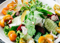 salad-1awb-250